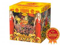 Красивая жизнь Фейерверк купить в Магасе | magas.salutsklad.ru