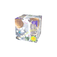 Новогодняя ночь Салют купить в Магасе | magas.salutsklad.ru