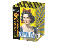 Красотка Батарея салютов купить в Магасе | magas.salutsklad.ru