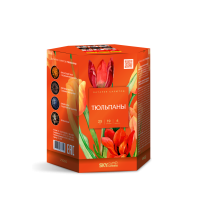 Тюльпаны Салют купить в Магасе | magas.salutsklad.ru