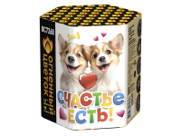 Счастье есть! Салют купить в Магасе | magas.salutsklad.ru