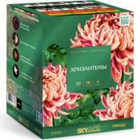 Хризантемы Фейерверк купить в Магасе | magas.salutsklad.ru