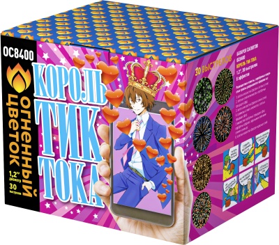 Король Тик-Тока Батарея салютов купить в Магасе | magas.salutsklad.ru