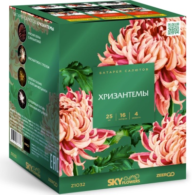Хризантемы Фейерверк купить в Магасе | magas.salutsklad.ru